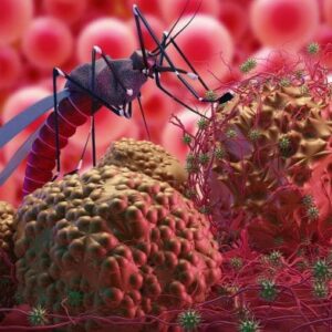 Mosquito Bed Nets Prevents Malaria Deaths