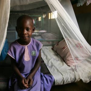 Importance of Mosquito net during COVID-19